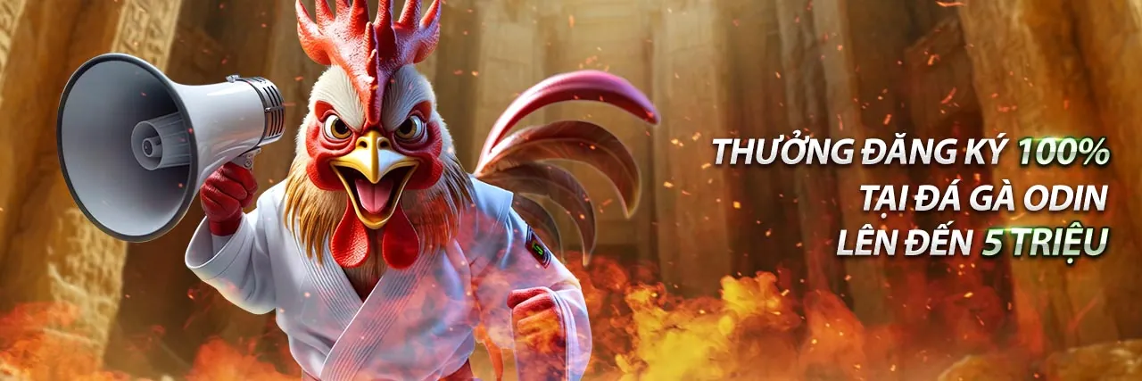 Cá cược quần vợt