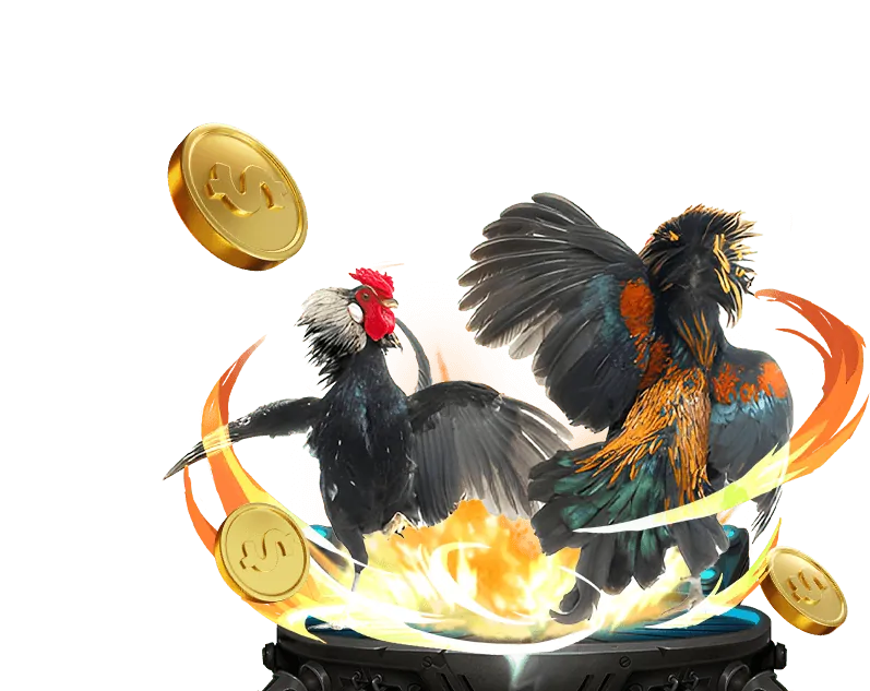 Đá Gà Trực Tuyến HI88 Đăng Nhập 2026